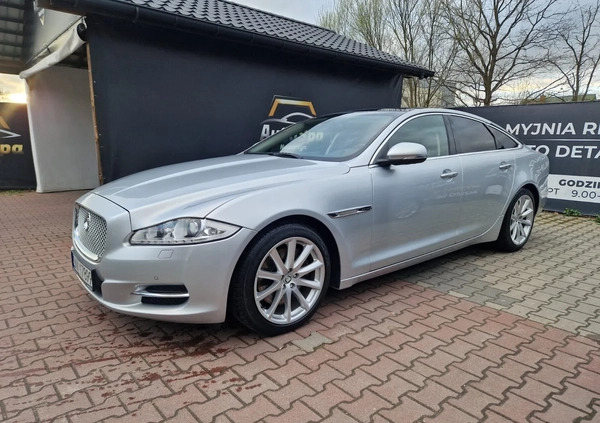 Jaguar XJ cena 62000 przebieg: 224000, rok produkcji 2011 z Mirosławiec małe 407